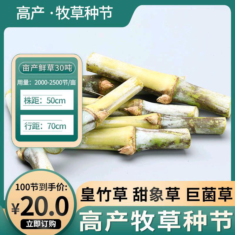 青贮饲料加工