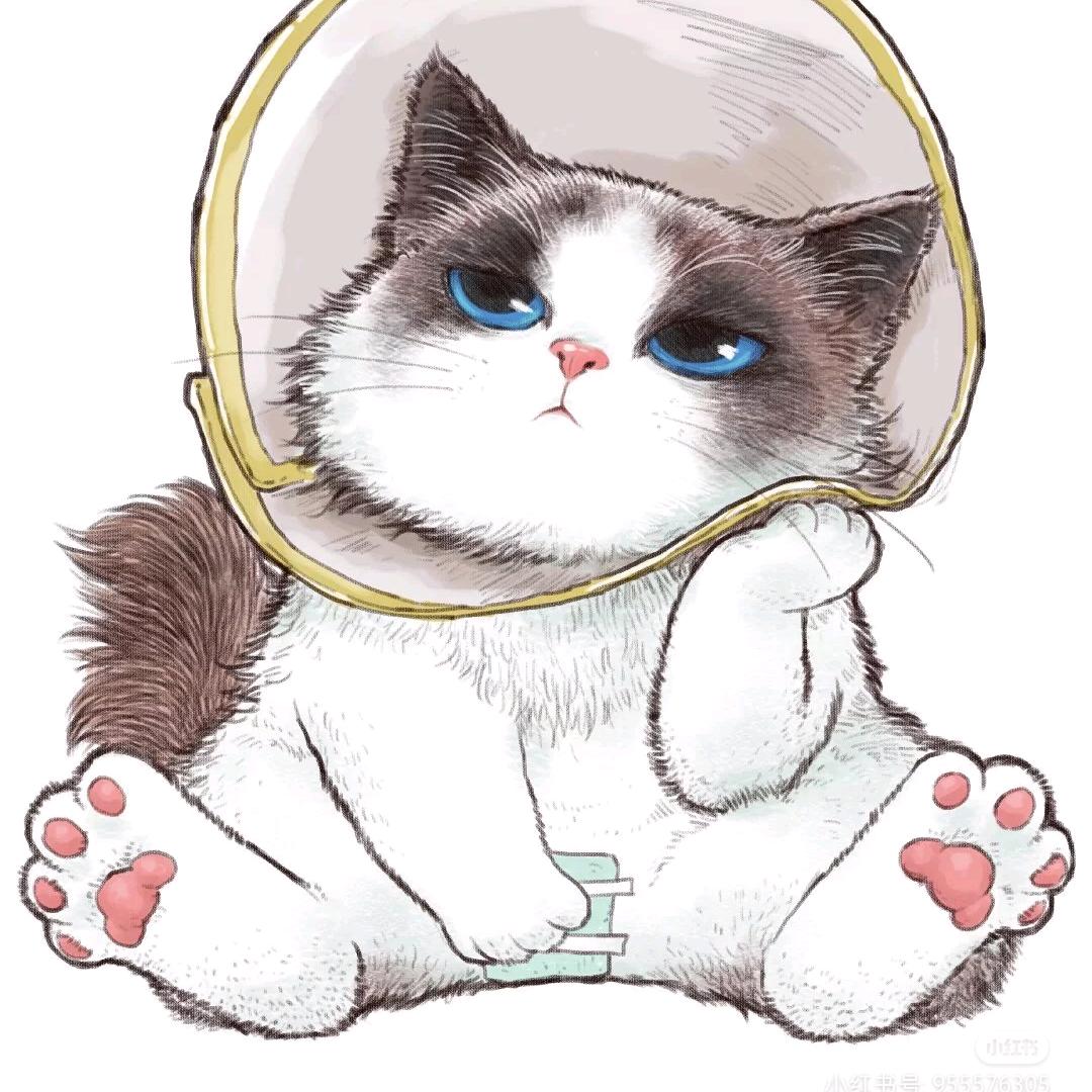 乔治不是猪
