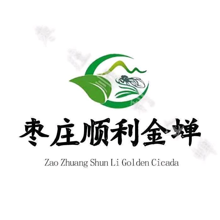 山东枣庄顺利金蝉养殖基地
