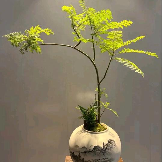 姚钱树💤🔥🔥🔥