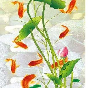 承蒙时光