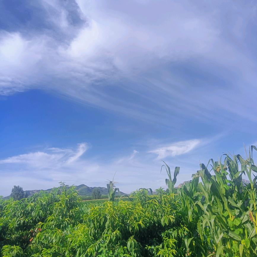 海阔天空