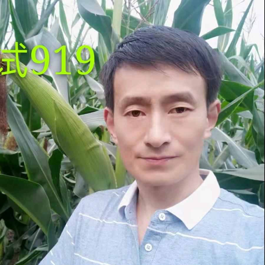 罗陆