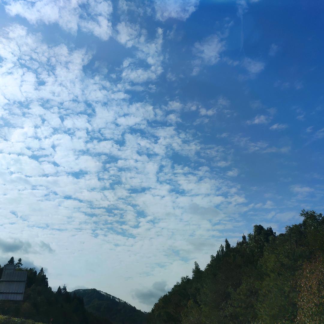 西卡啊头像