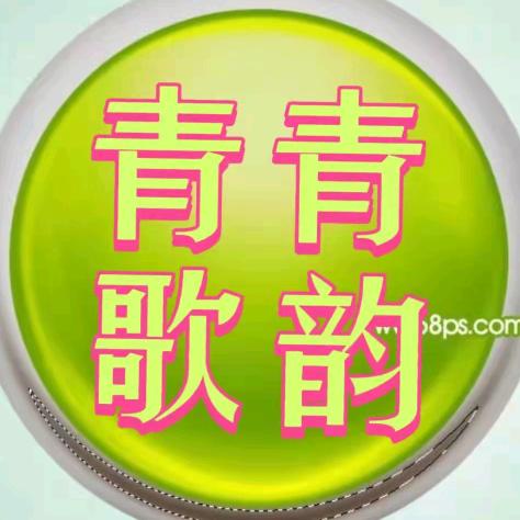 青青歌韵