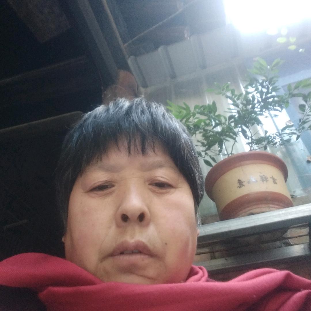 风和日丽。