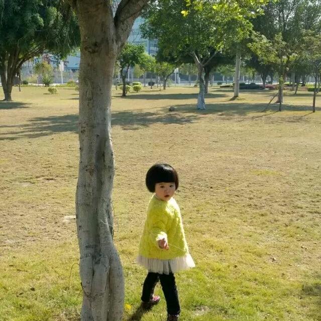 泛善可陈先生