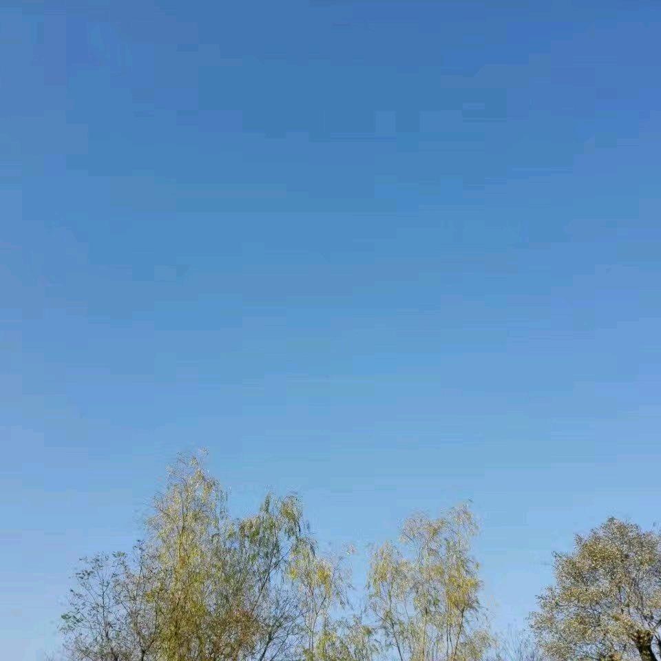 天空16888