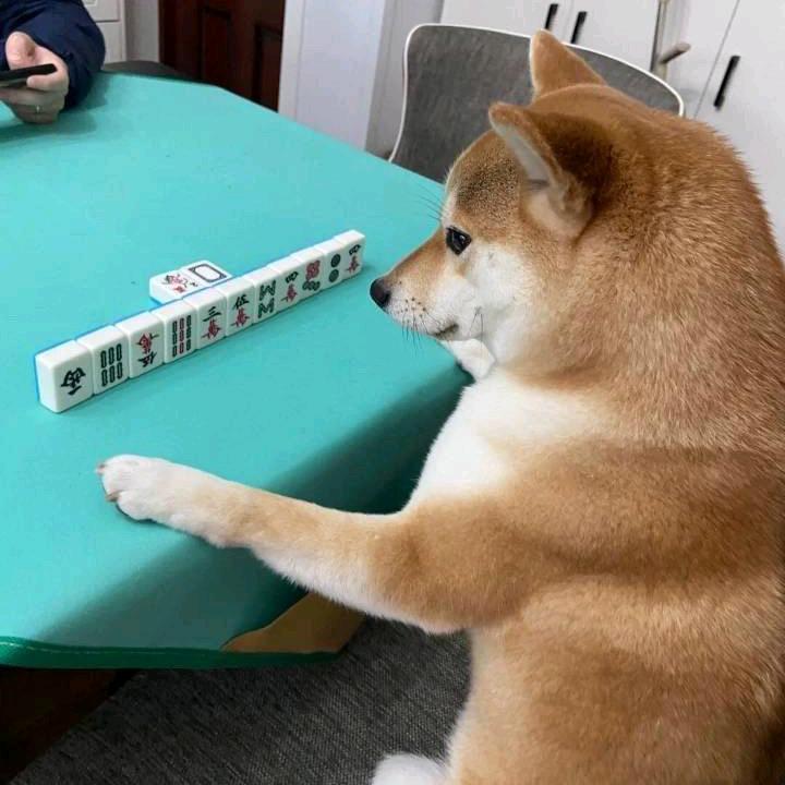 将将好的江