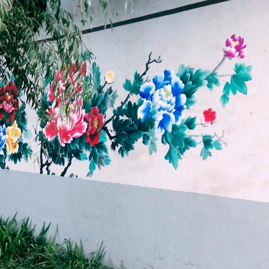 花雨山中人