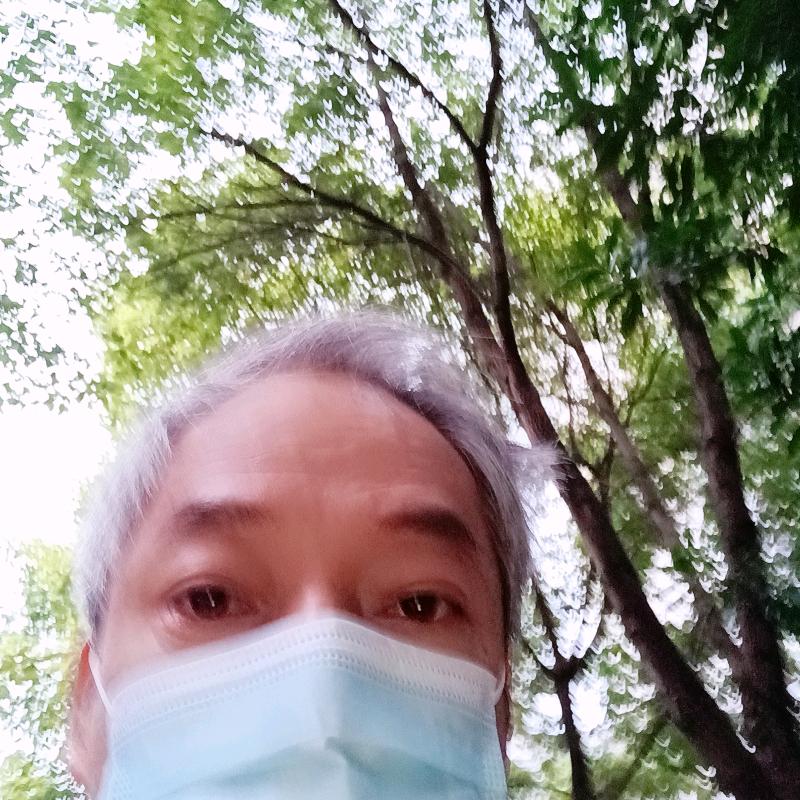 九月鹰飞