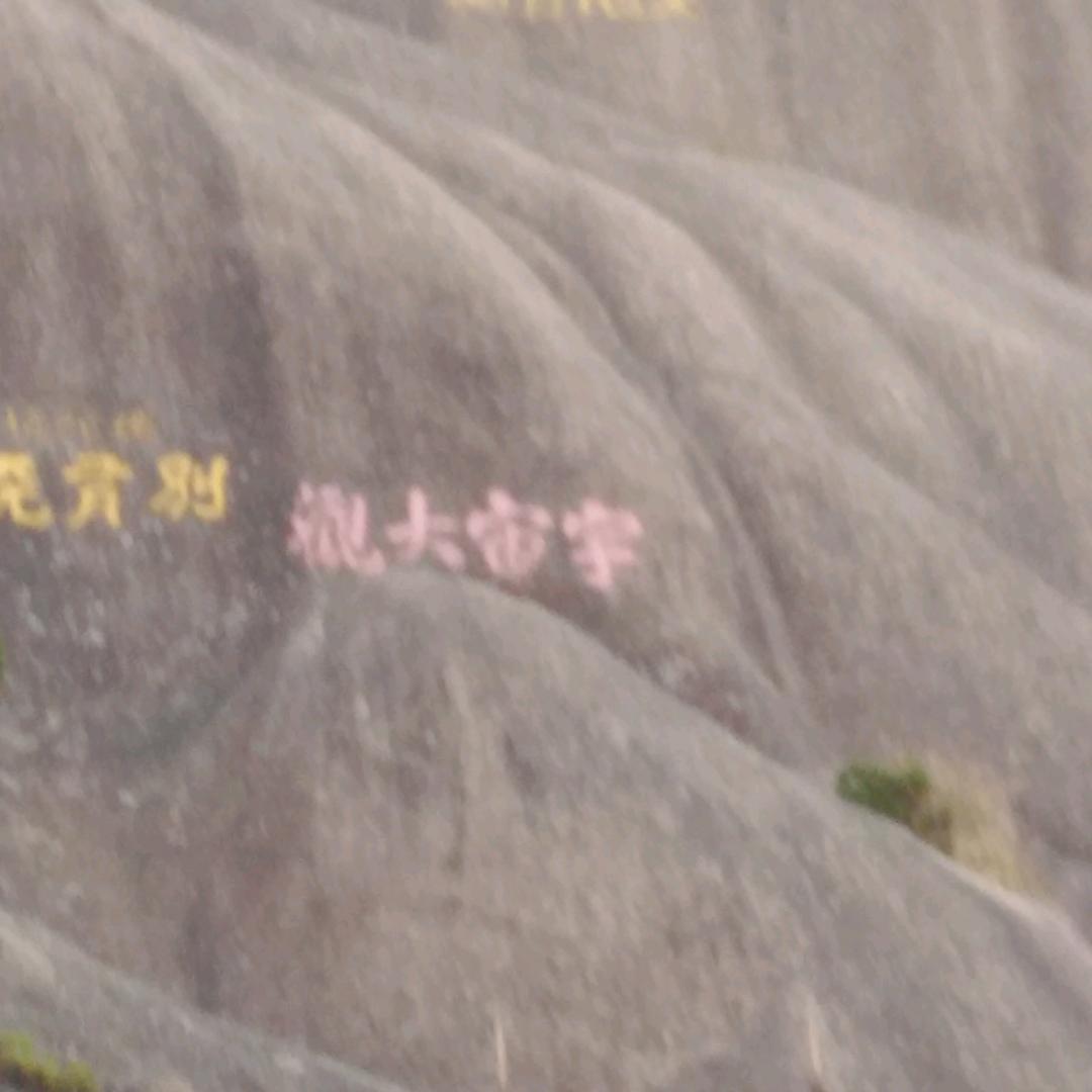 C冇D有