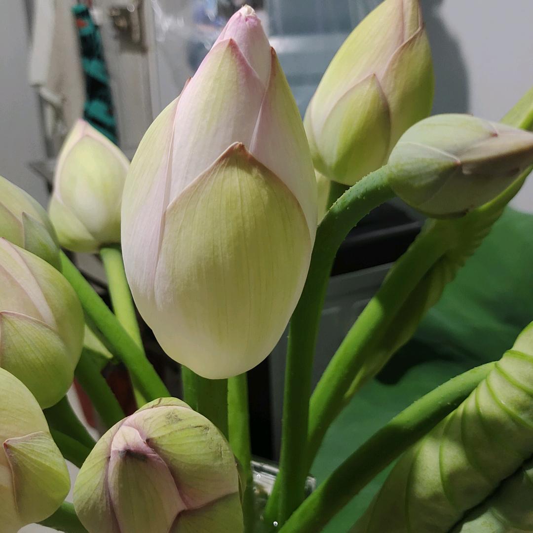 懂得珍惜o>_<o才配拥有