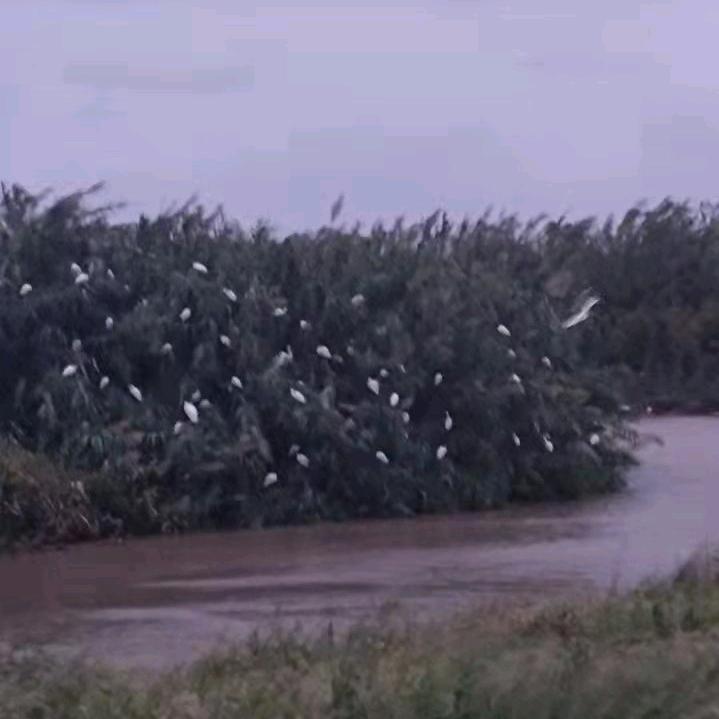 爱生活