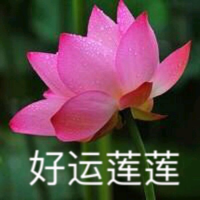 佳缘妙音（橱窗有好物）