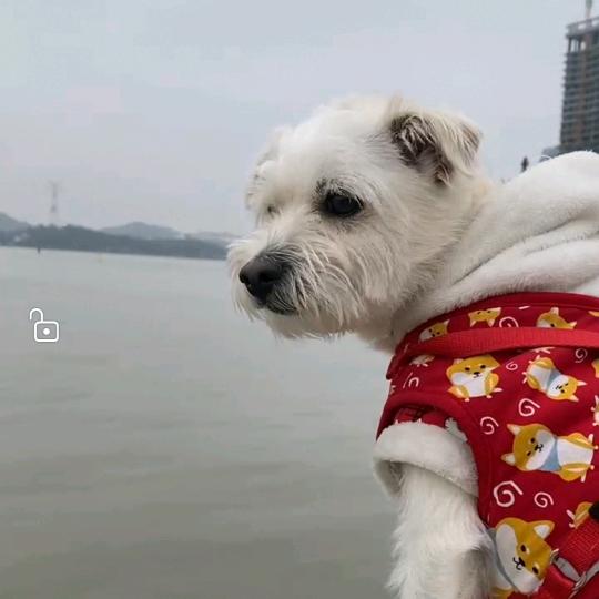 风和日丽＋阳光之家