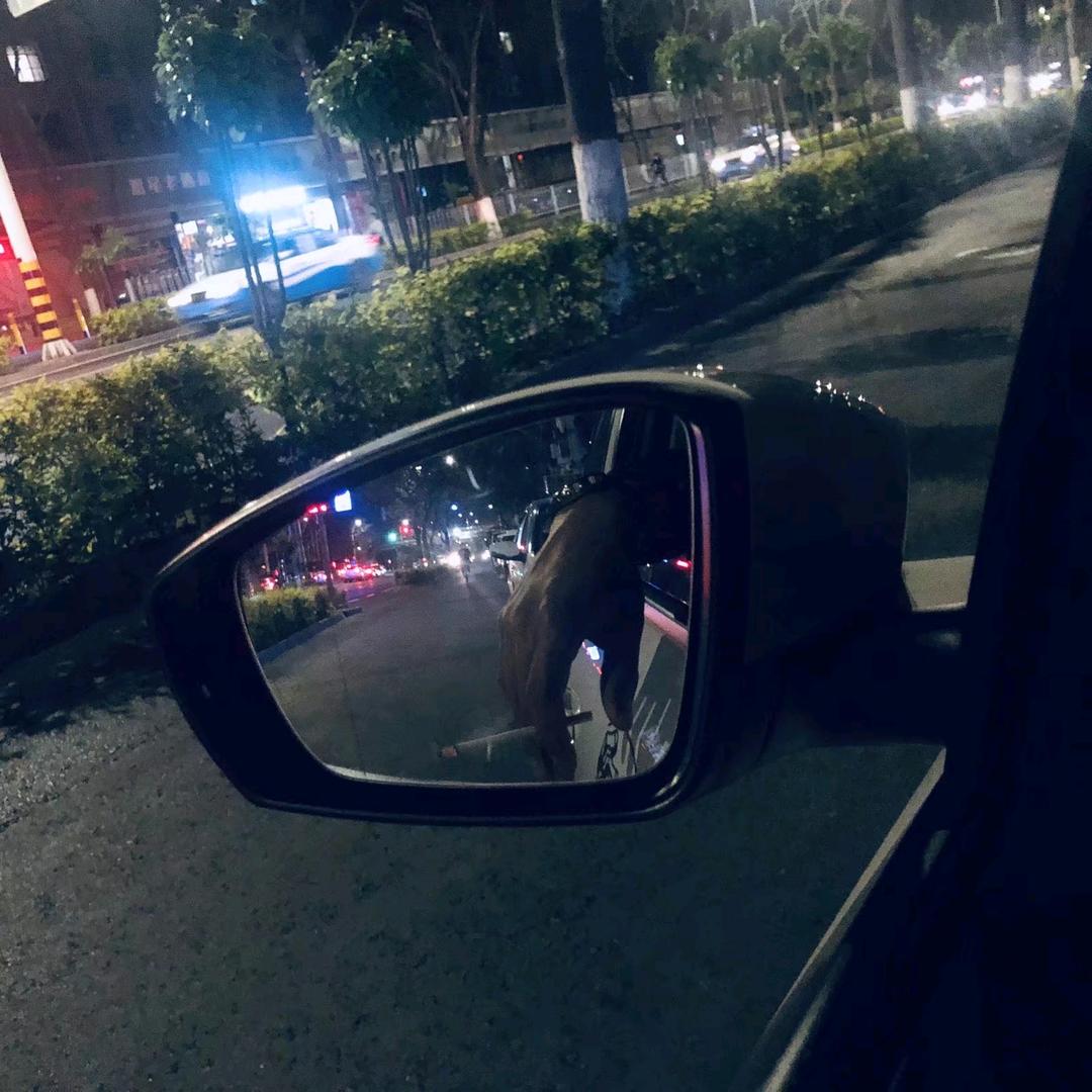 ℳঞ ꦿ懒人王铁柱꧔ꦿ᭄