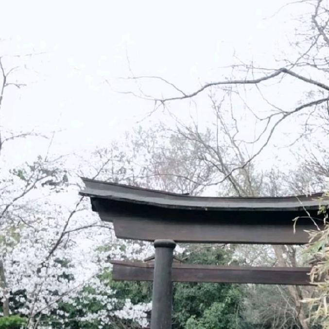 窗玲珑