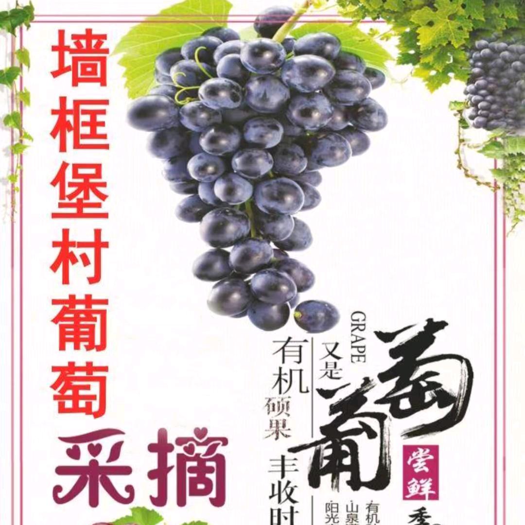 灿烂6