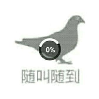 会修图的西阁