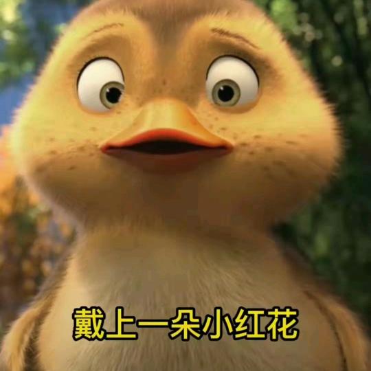 爱哭的燕子