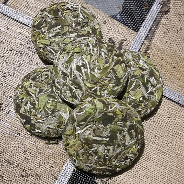 福鼎鼎福轩白茶