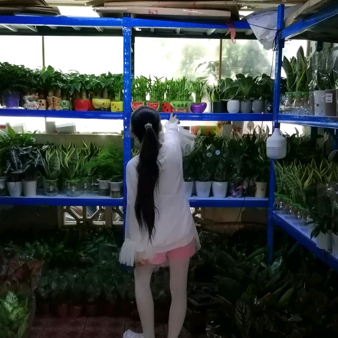 永恒纪念