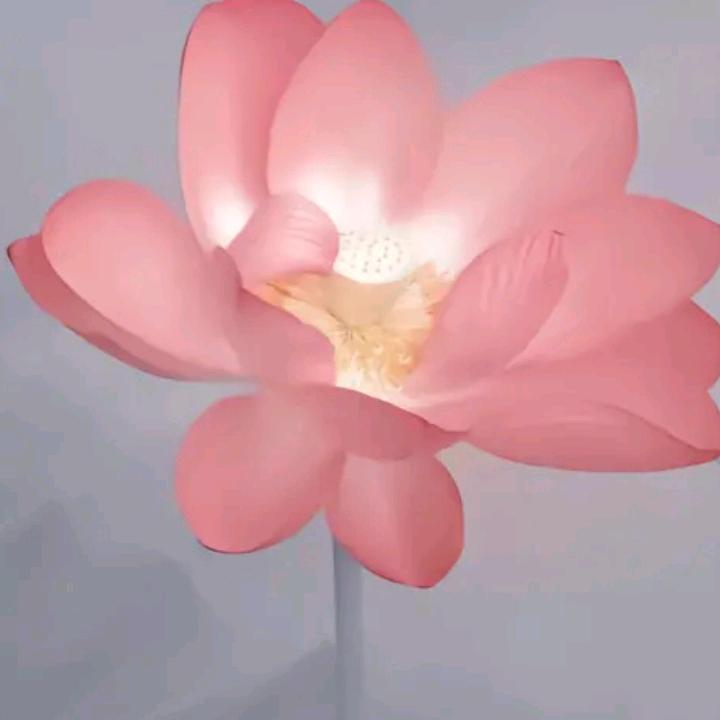 杨凤金