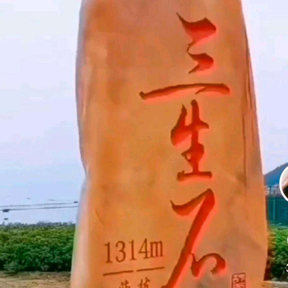 努力奔向胜利的方向