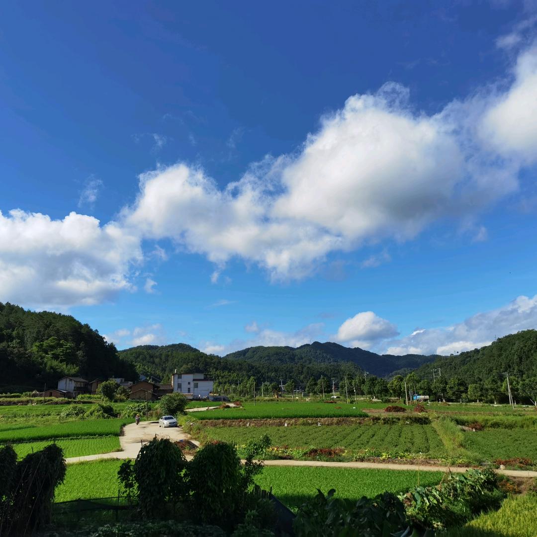 佛山市佳欣隆钢业