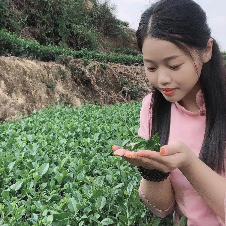 杜园小苏