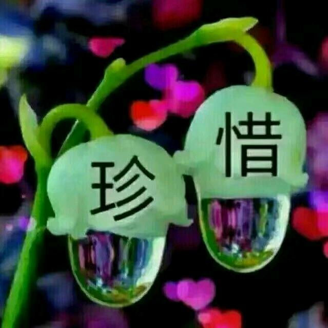 人生如此🌹🌹拒绝私聊，🍦🍦