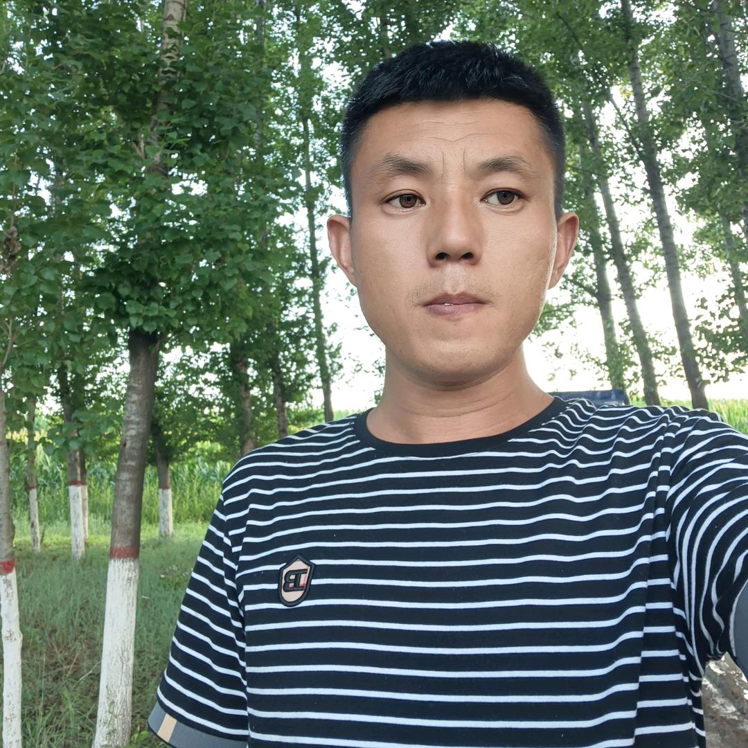 寂寞无情，孤独有爱