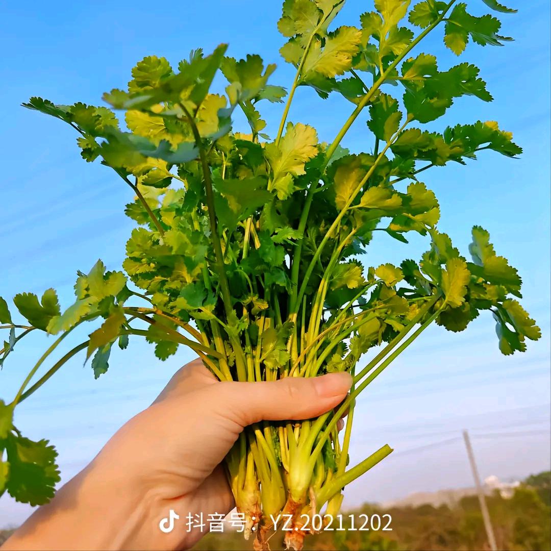 我是盖丽宏远赵姐素帛。研帛女装。艺术女