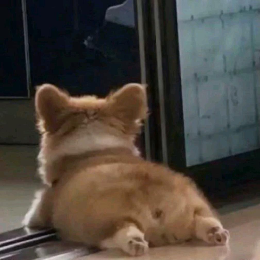想入飞飞