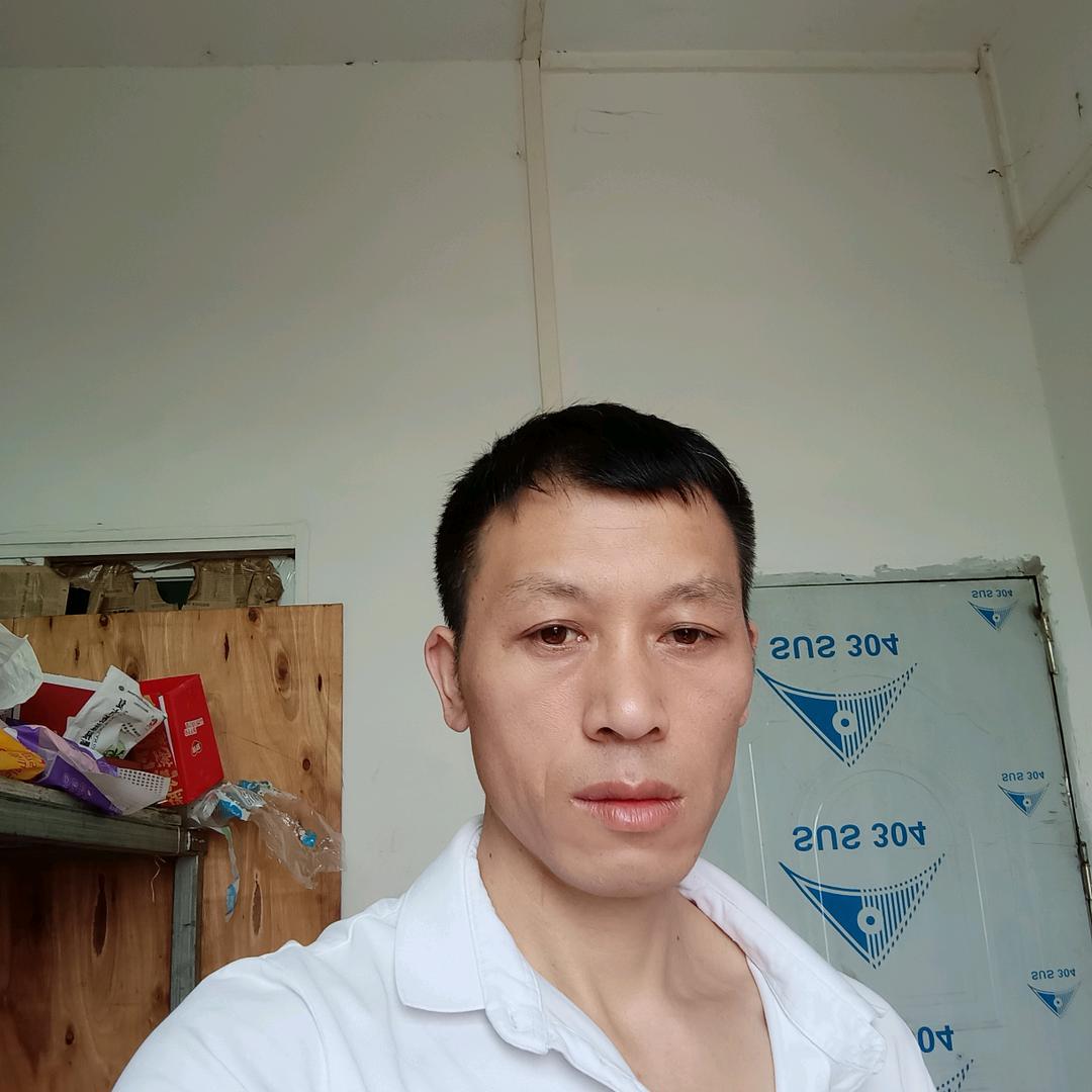 用户木叶林