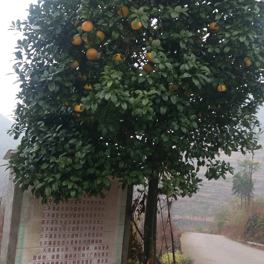 谁能陪我走过后半生