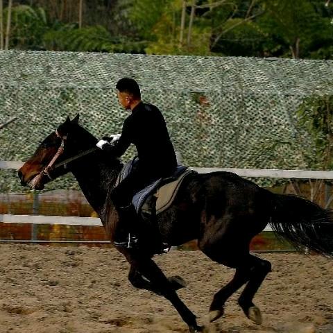 内江·慕野骑迹野骑马术营地  军