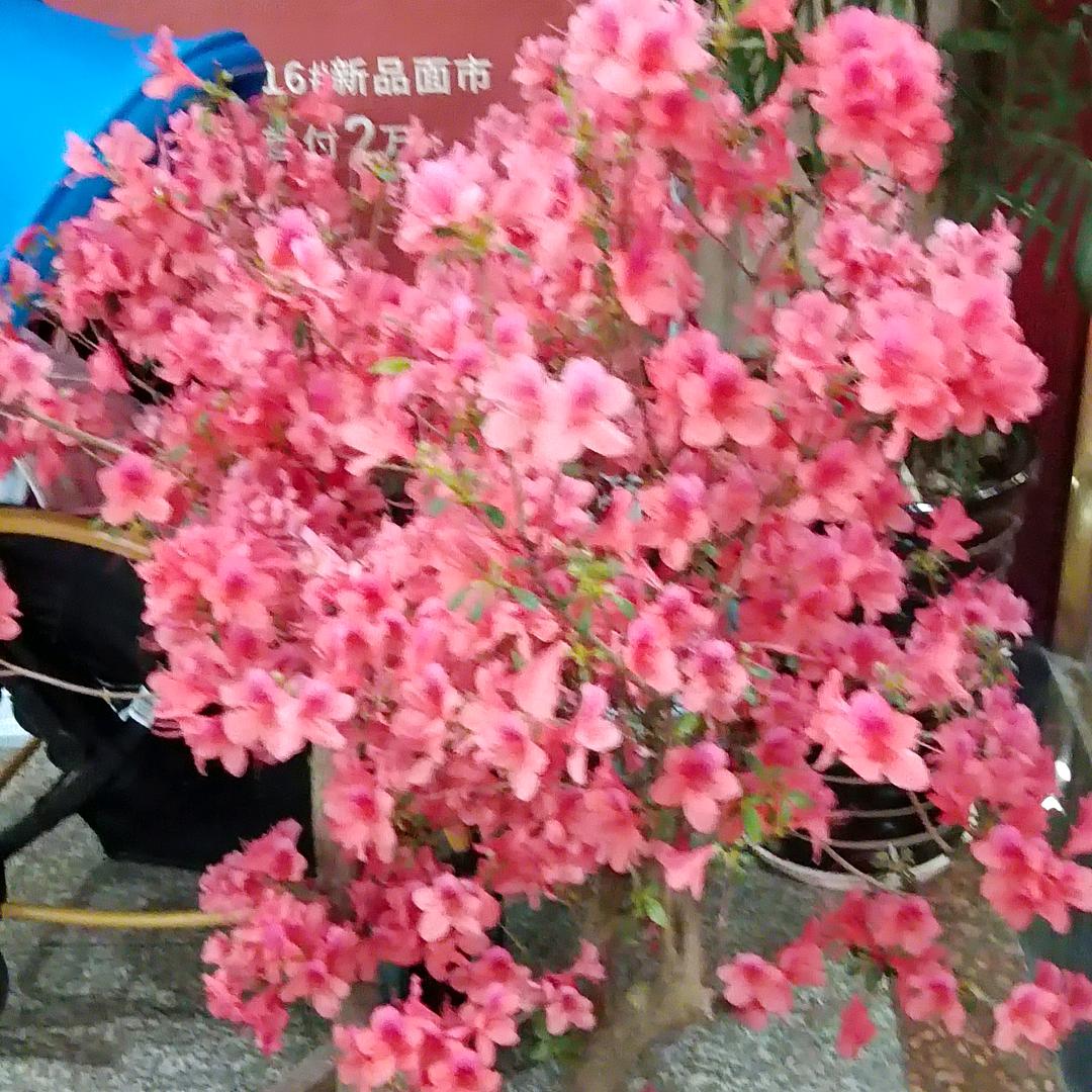 用户559488