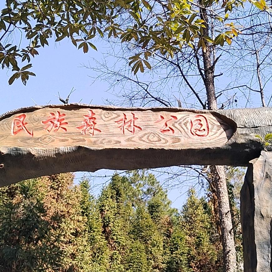 欣欣之火