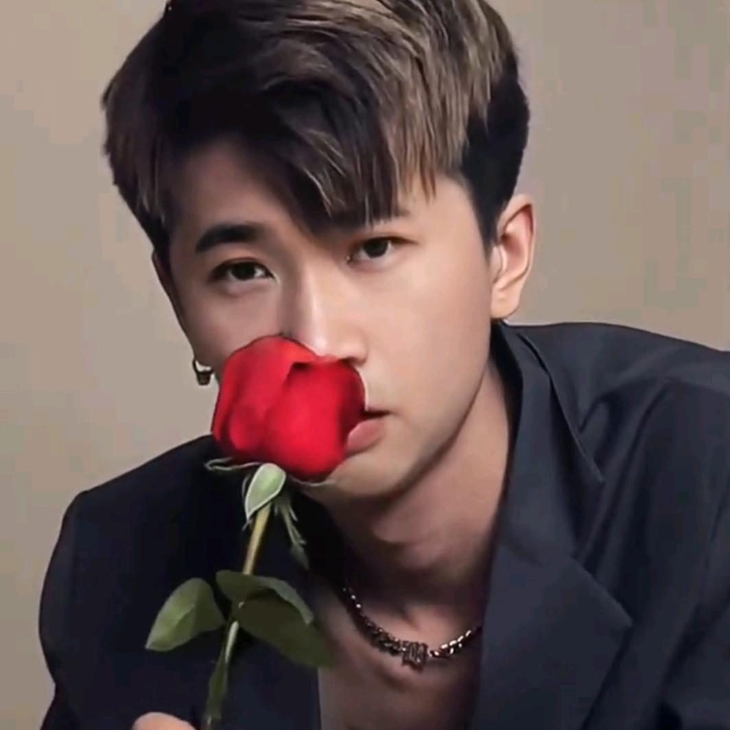 户外寻蜂  啊明