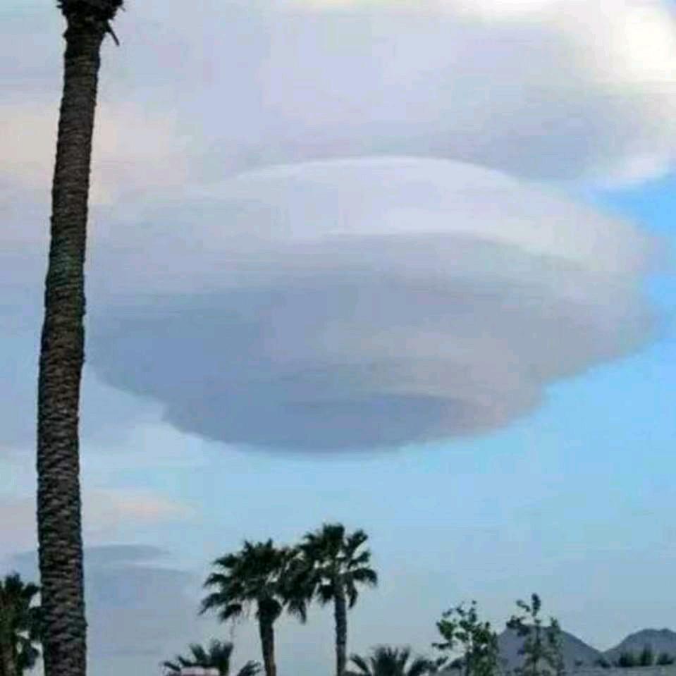 老江