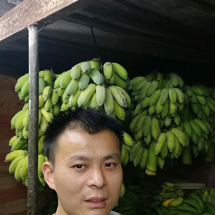 陈剑专业代销应季水果(诚信排第一)