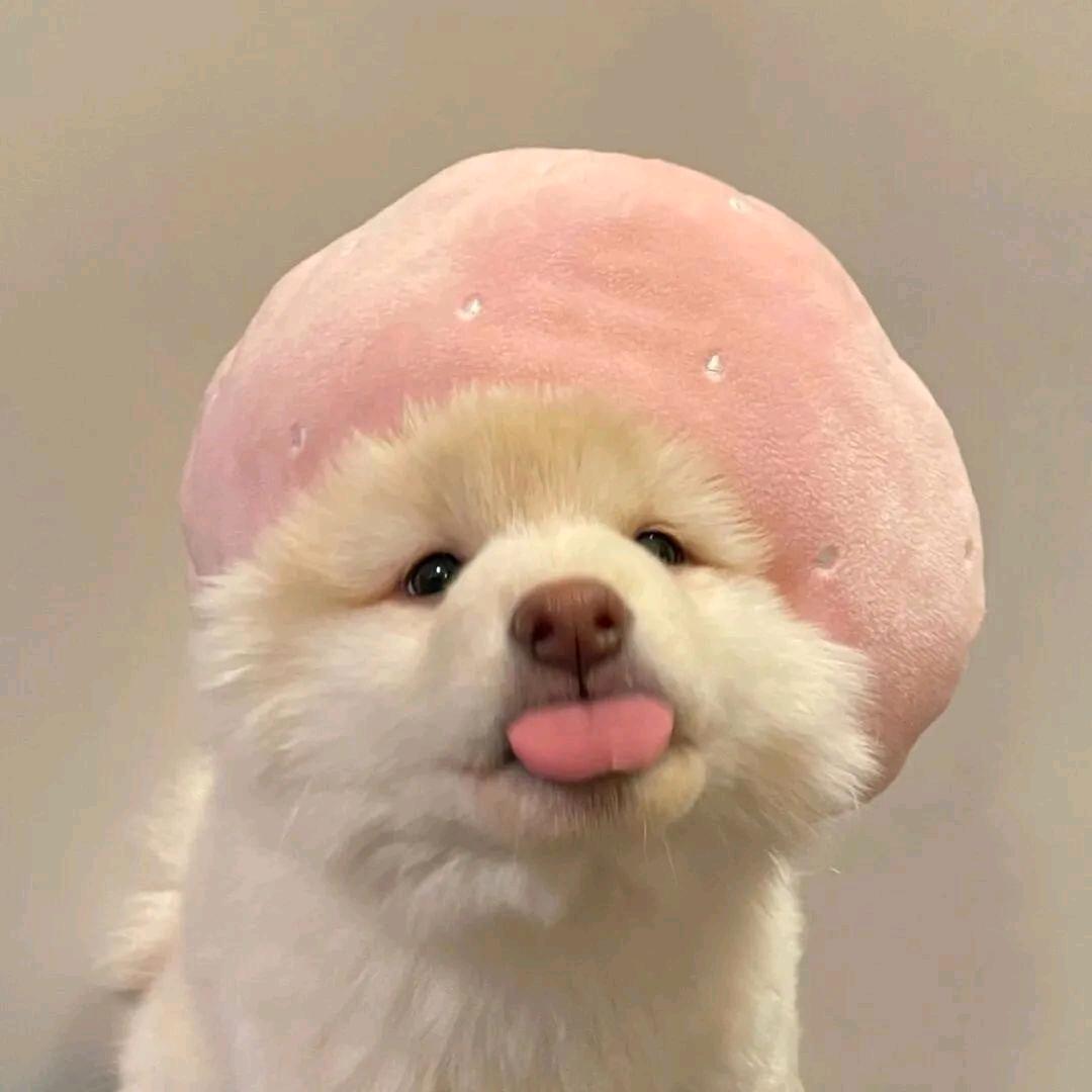 巧