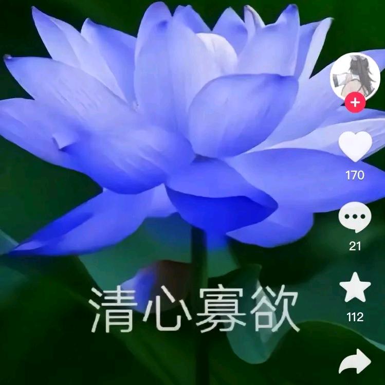 戴