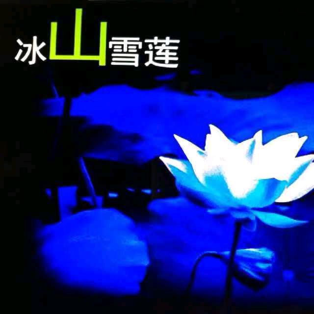 淡然如花