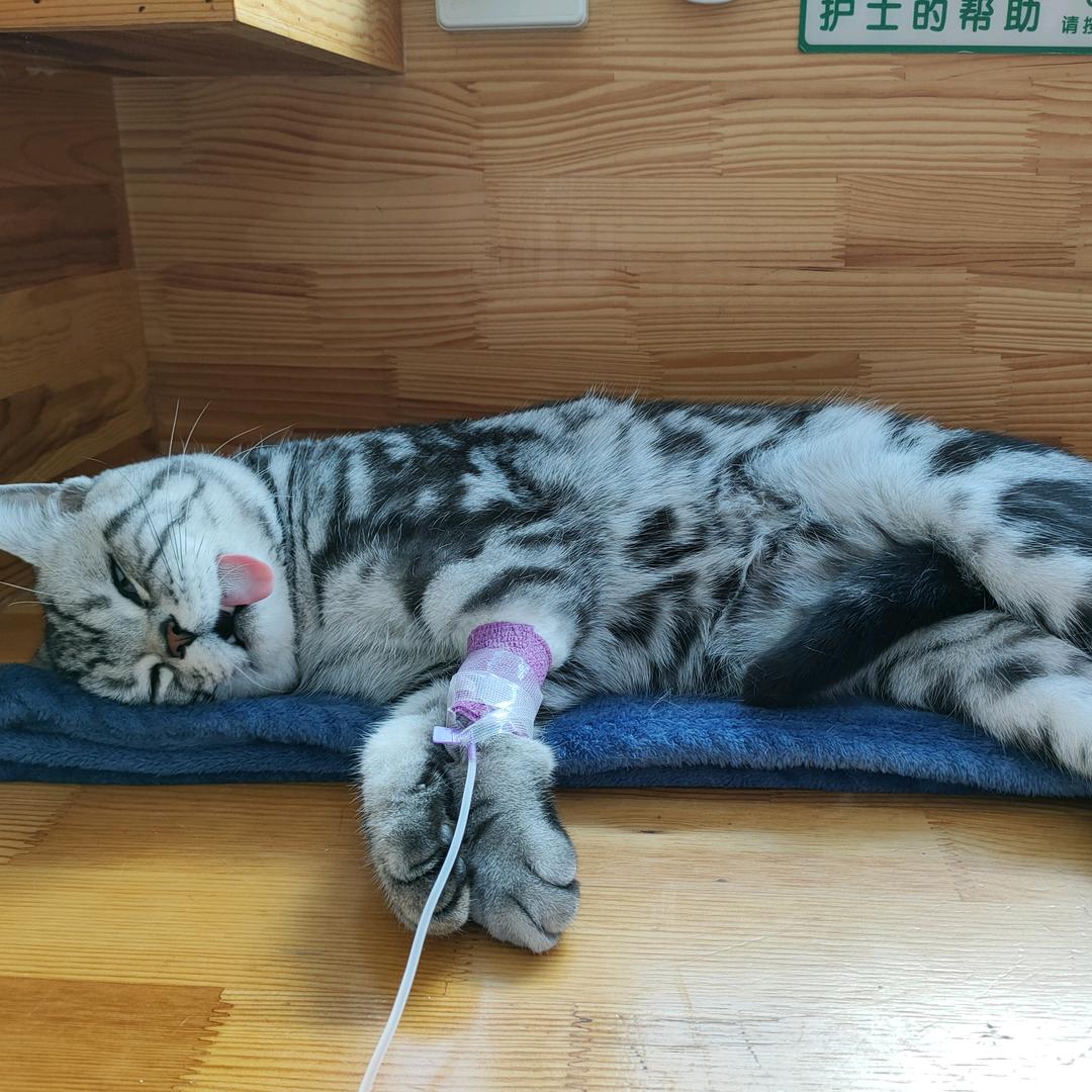 无所谓反正我会出手