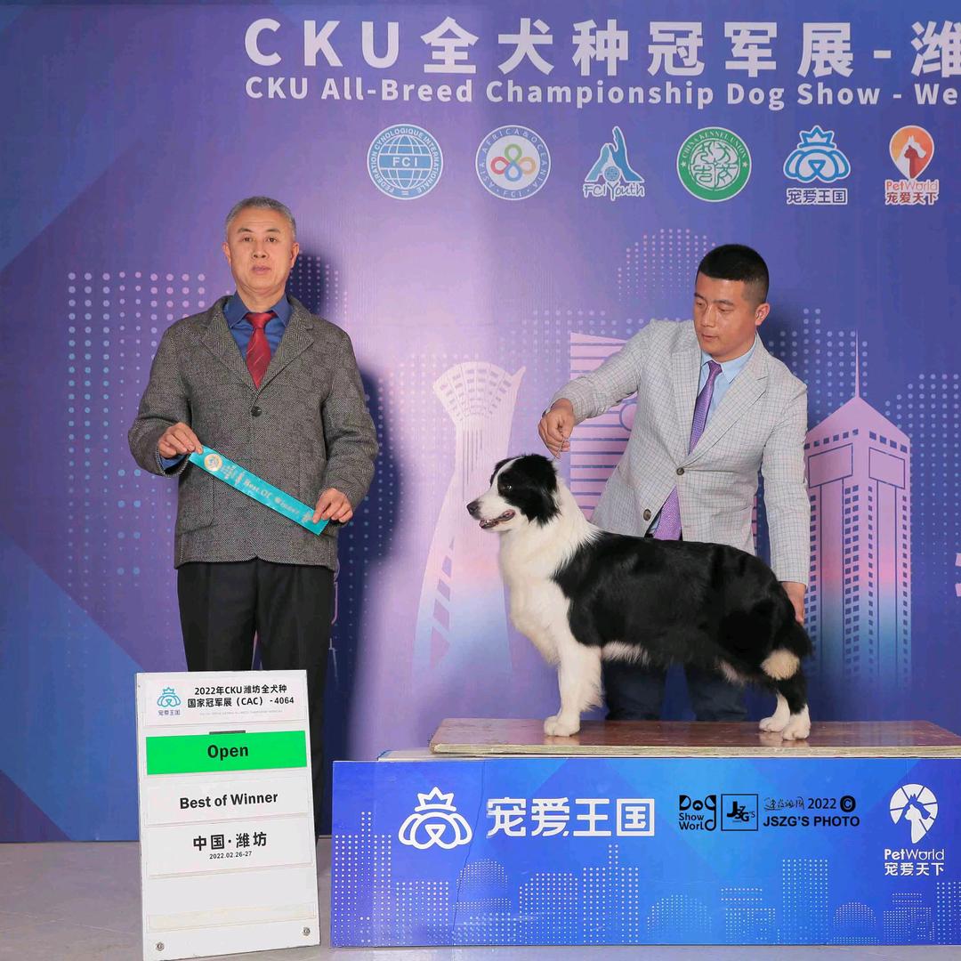 勇牧庄园犬舍