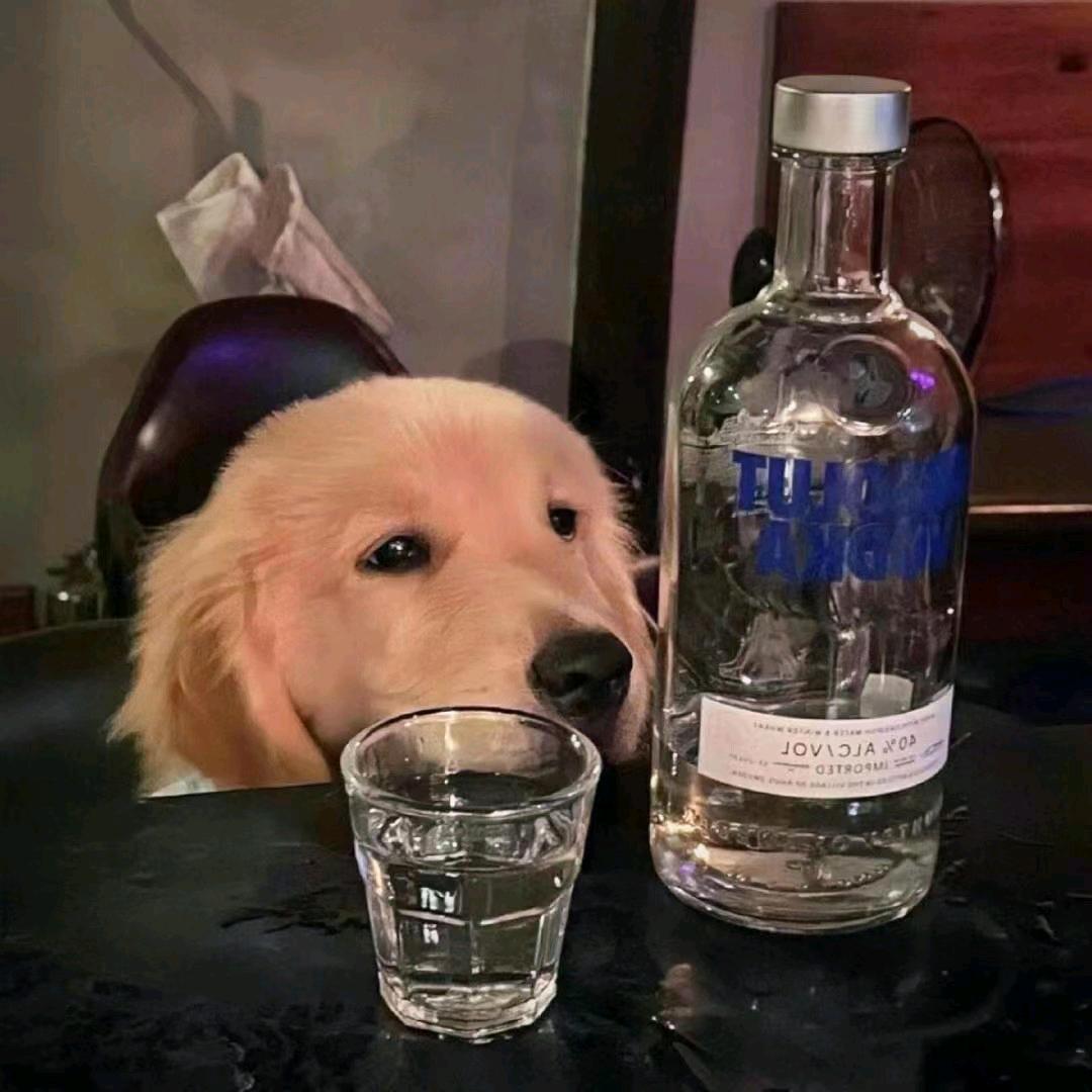 熙竻呢