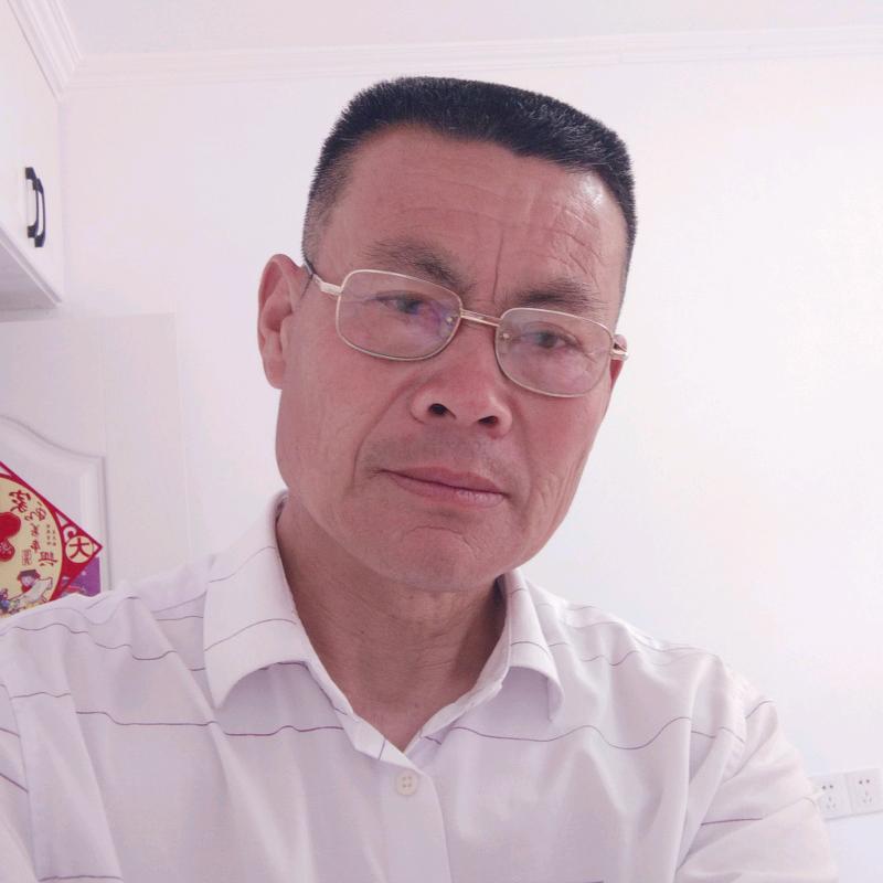 龙飞88